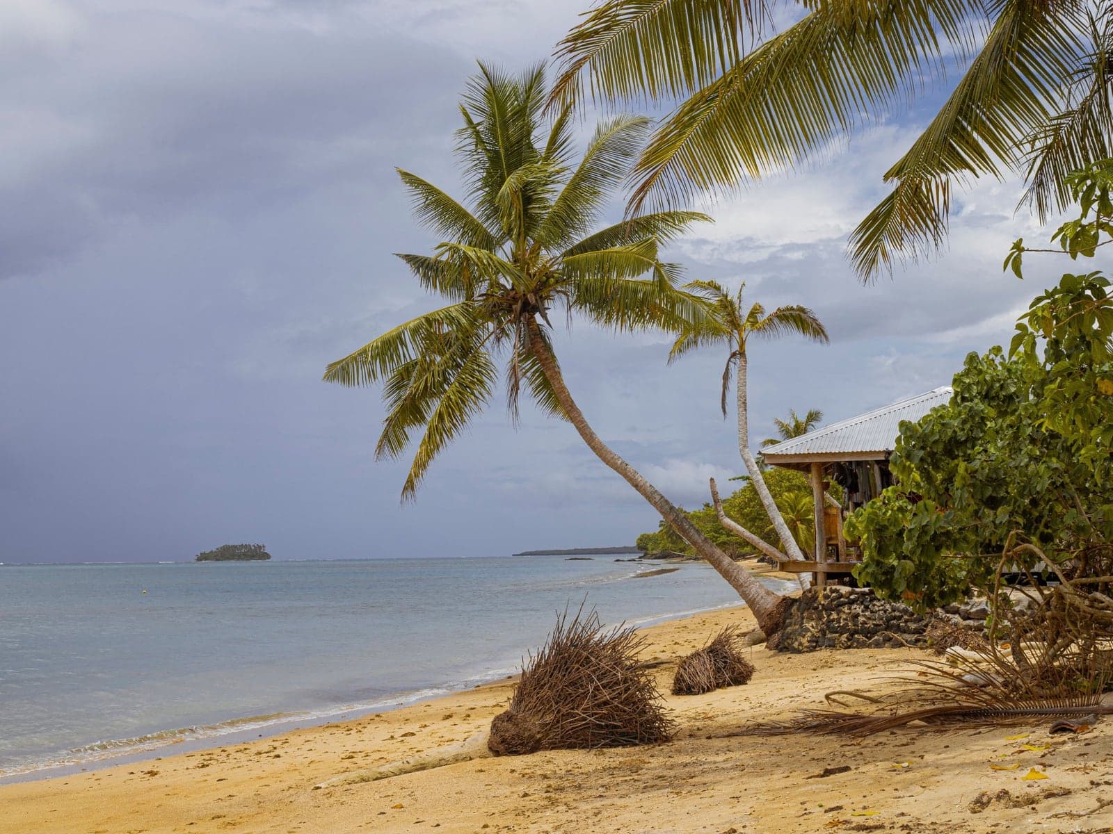 Apia — photographie