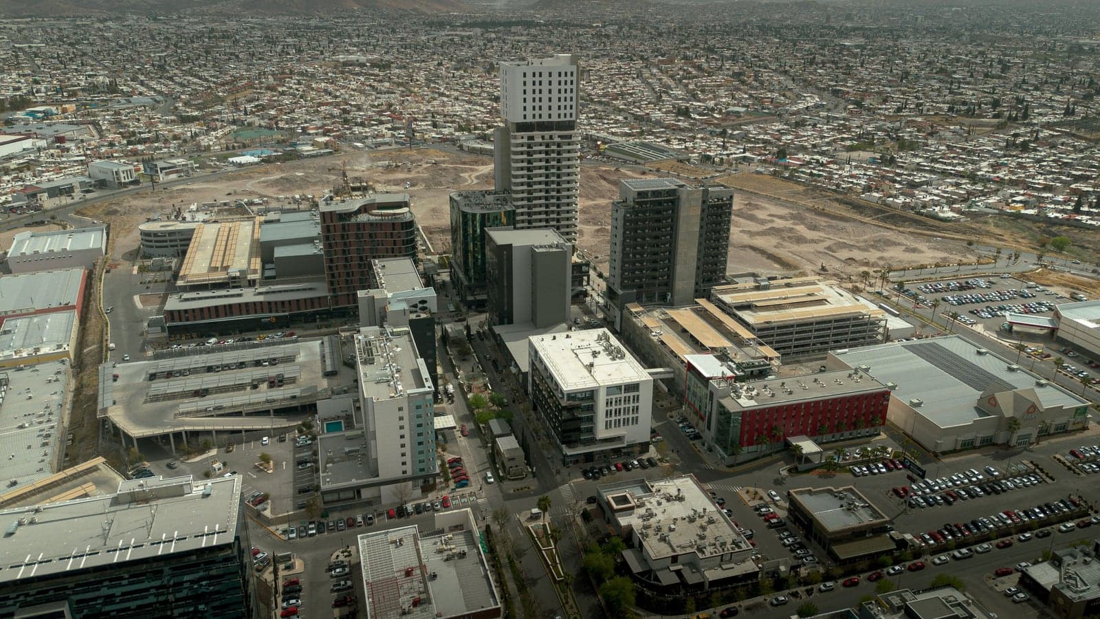 Chihuahua — photographie